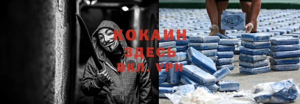 шишки Баксан