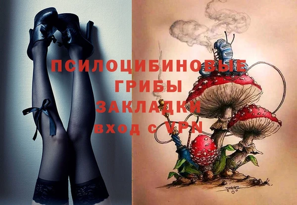 шишки Баксан
