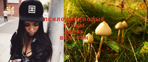 шишки Баксан
