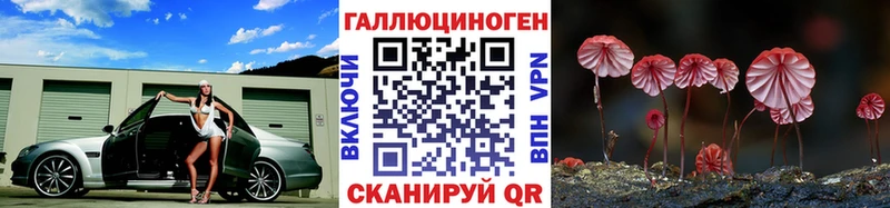 omg как зайти  Томмот  Галлюциногенные грибы MAGIC MUSHROOMS  купить закладку 
